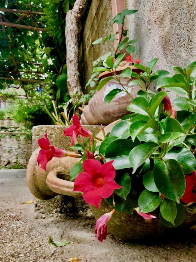 Bed and Breakfast Casa Gentile Agerola Zewnętrze zdjęcie
